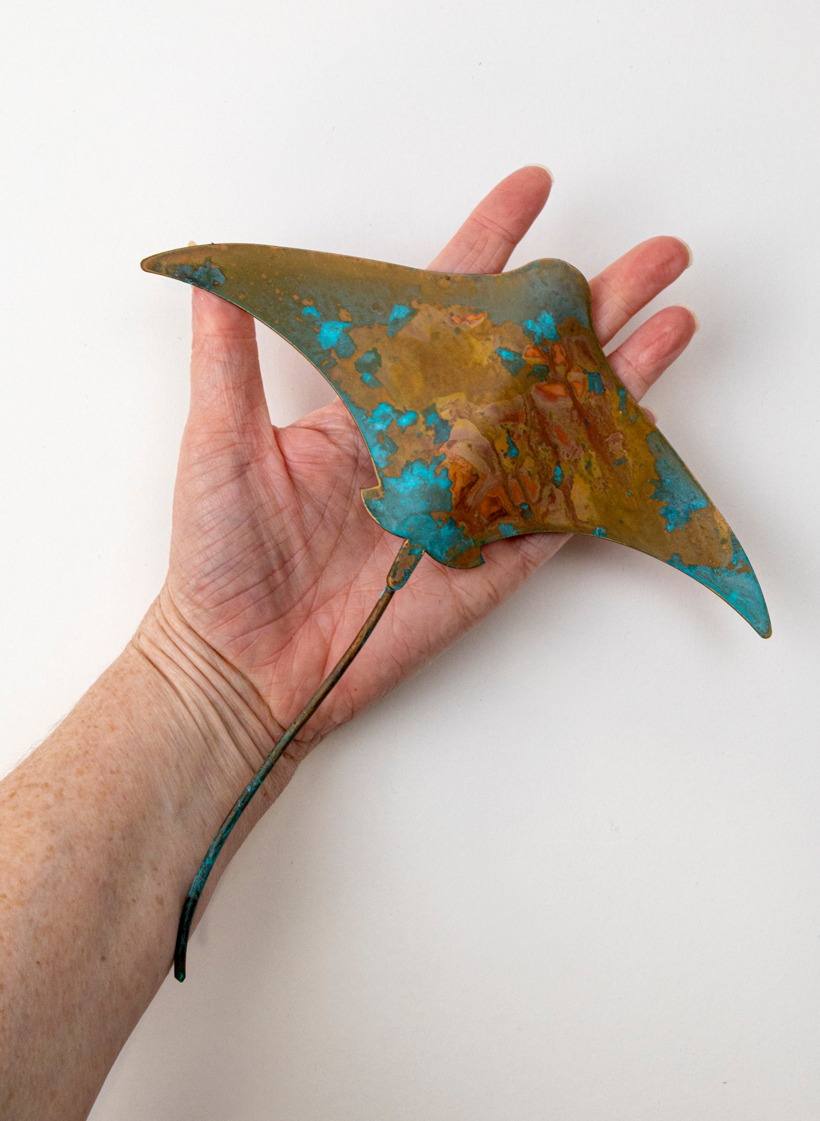 Stingray - Medium