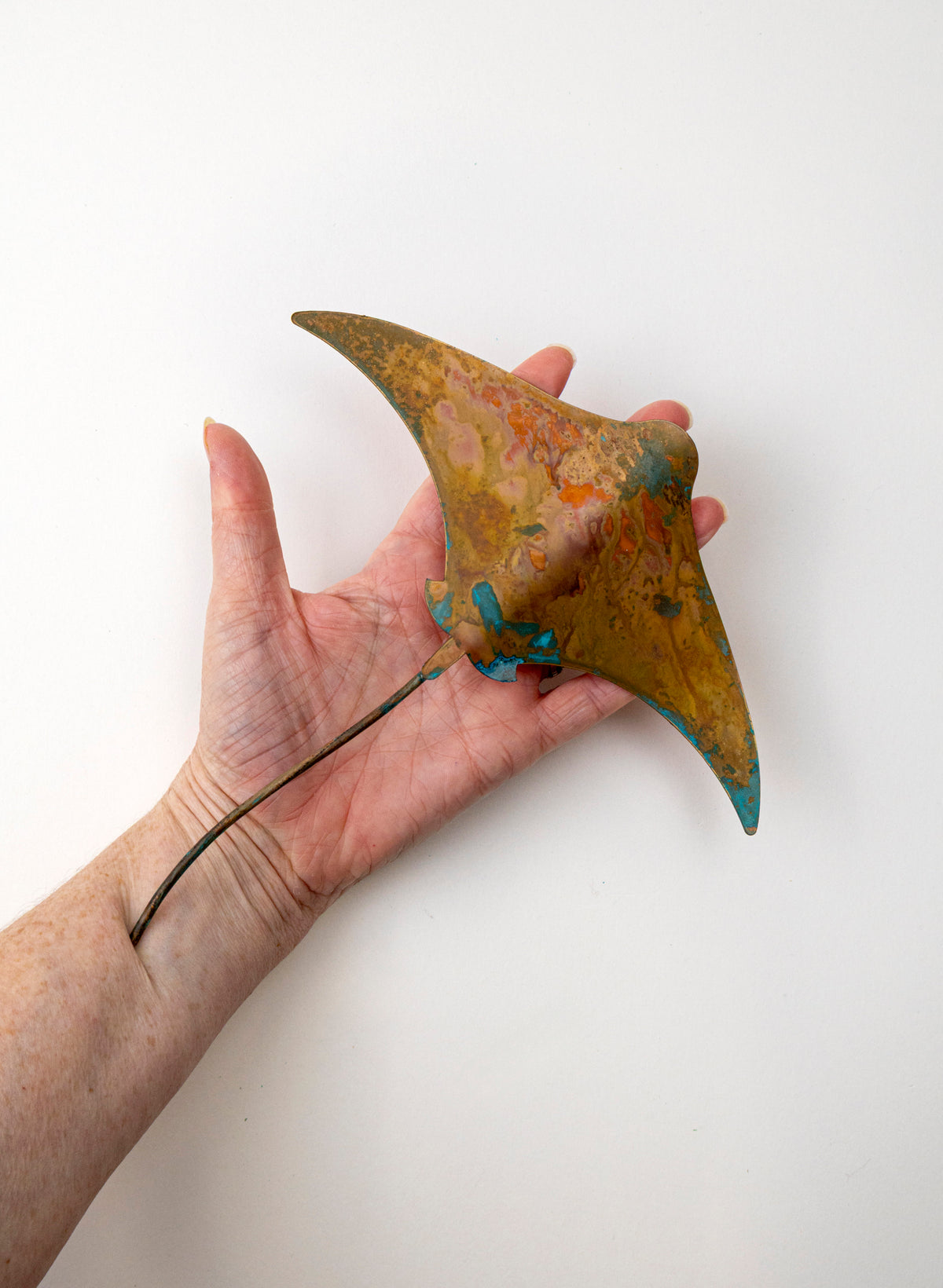 Stingray - Medium