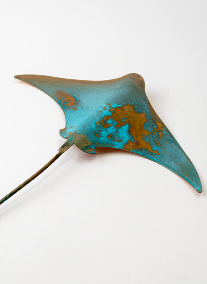 Stingray - Medium