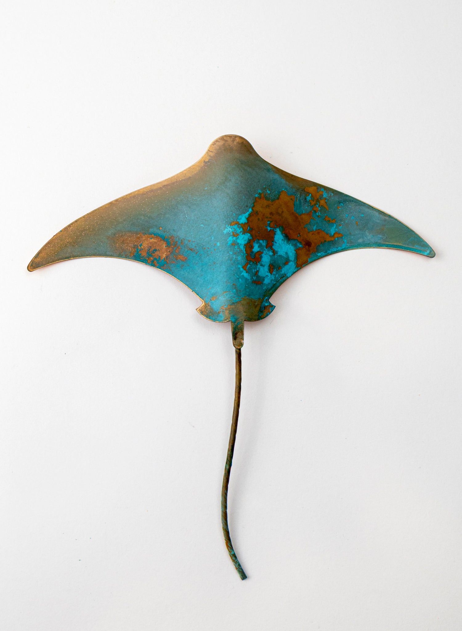 Stingray - Medium