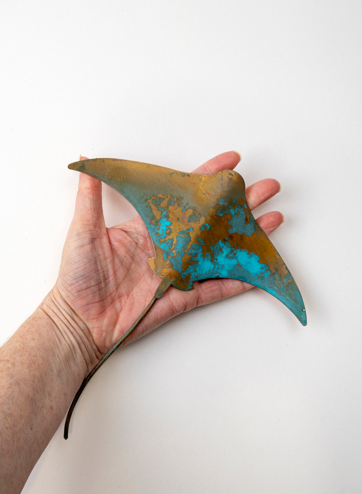 Stingray - Medium
