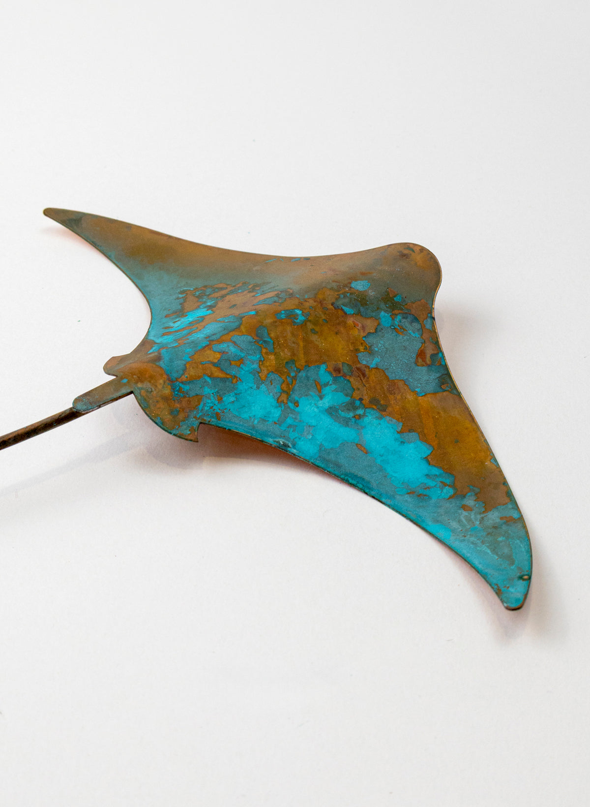 Stingray - Medium