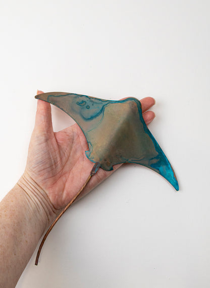 Stingray - Medium