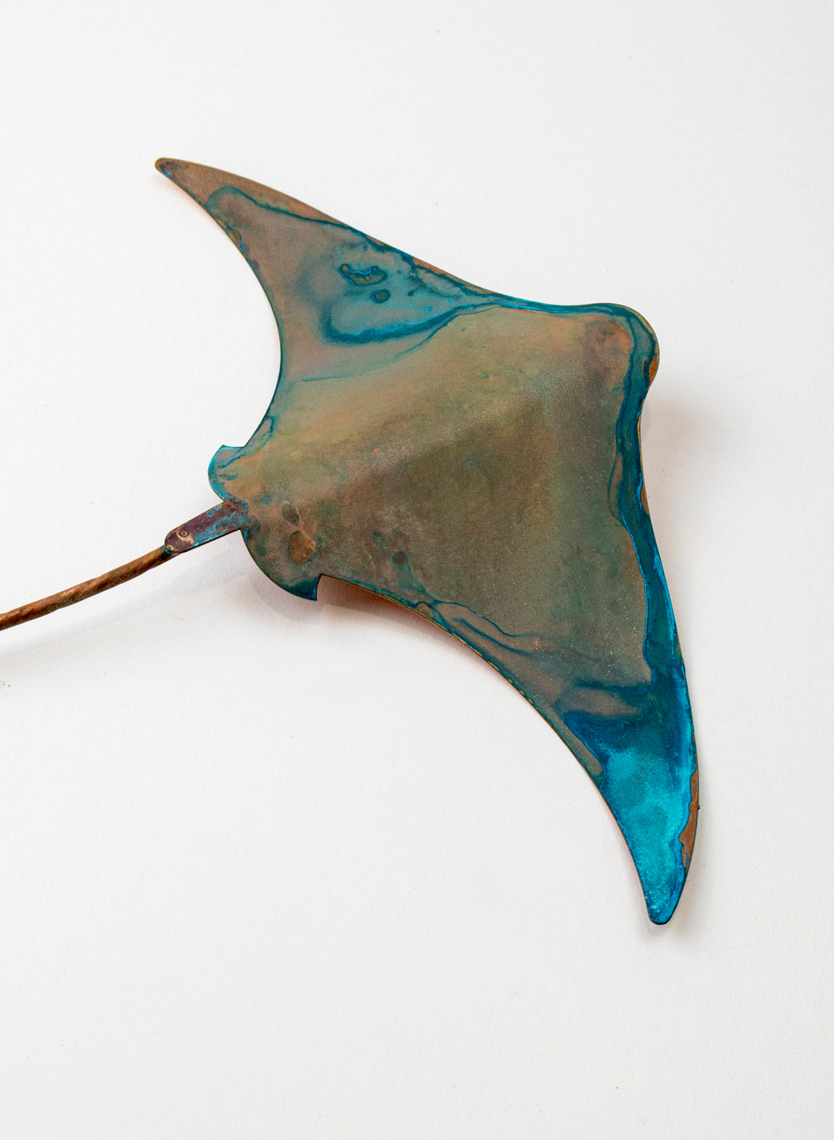 Stingray - Medium