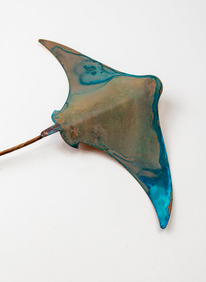 Stingray - Medium
