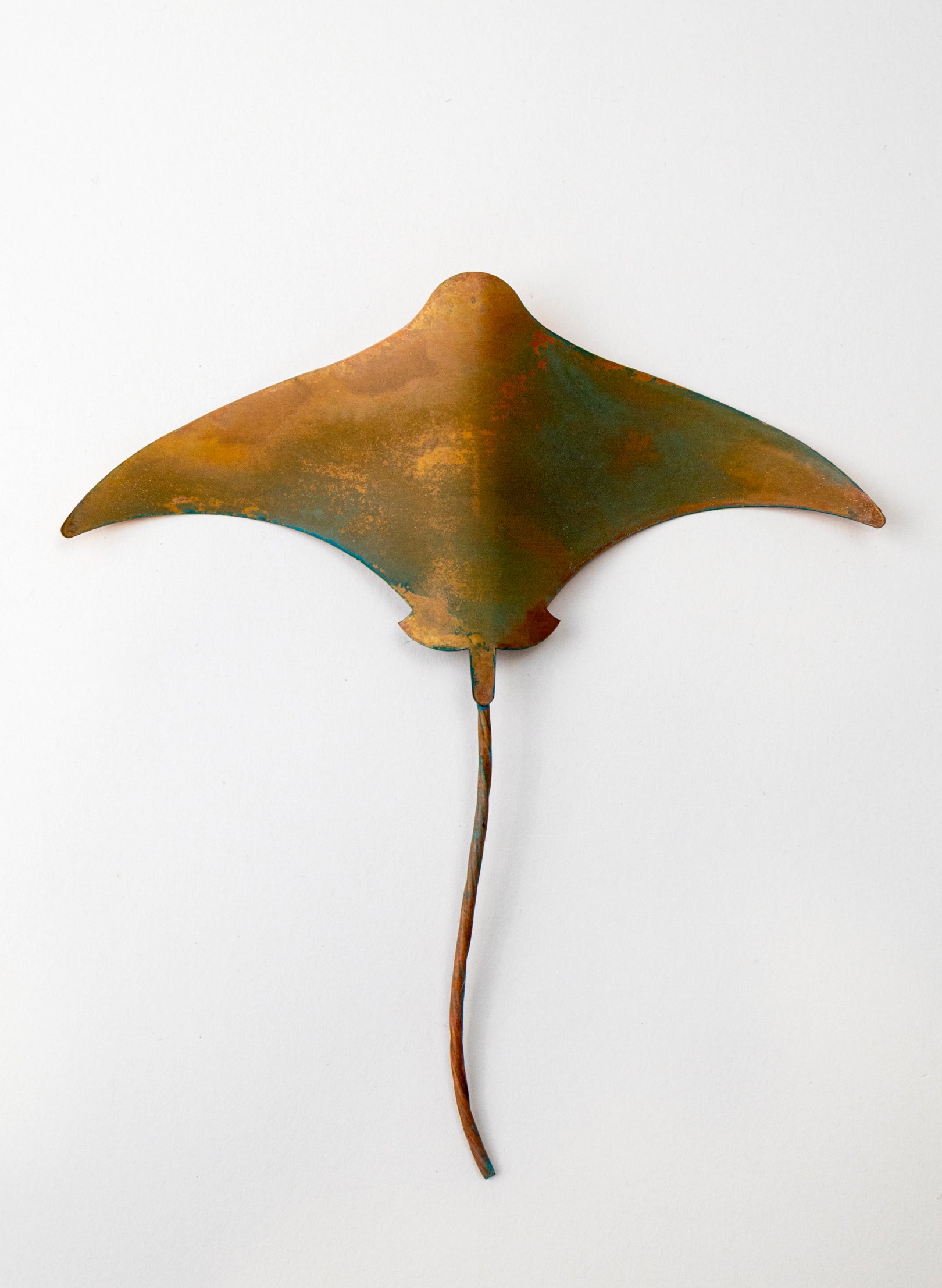 Stingray - Medium