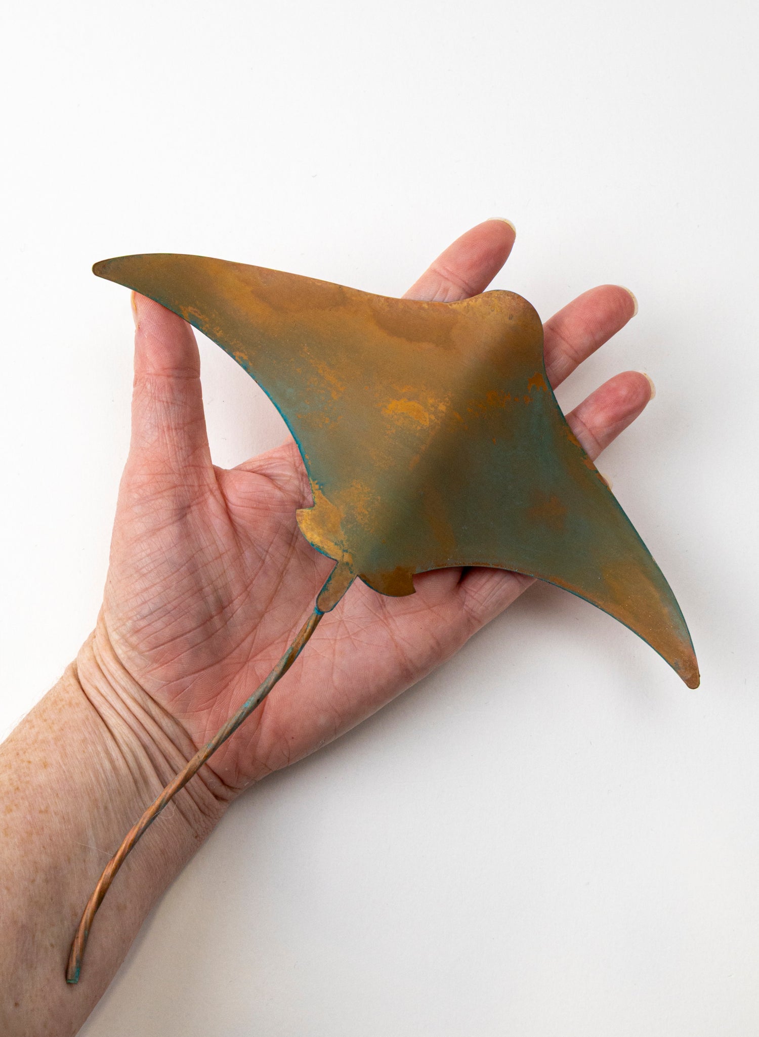 Stingray - Medium