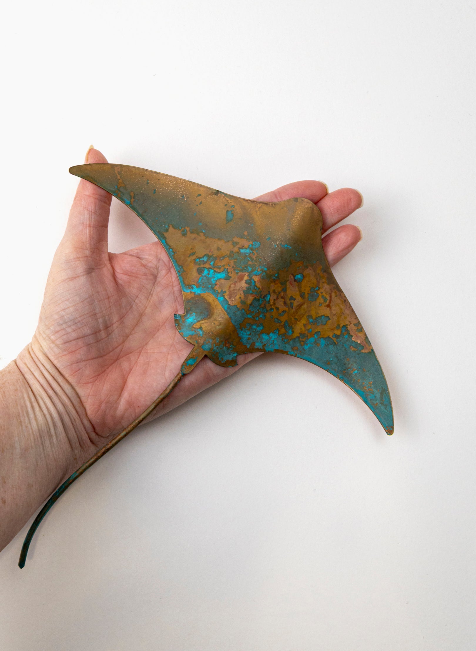 Stingray - Medium
