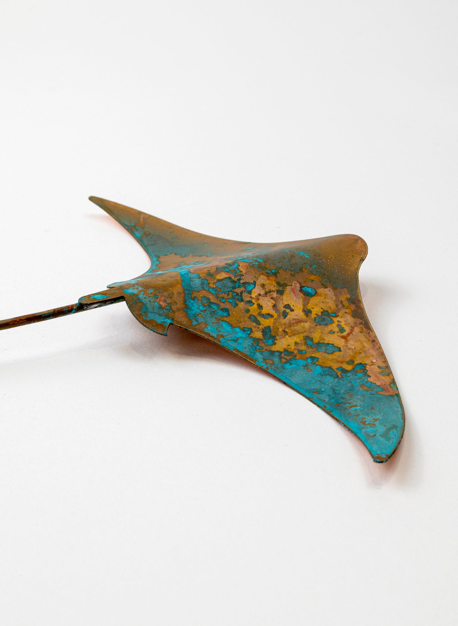 Stingray - Medium
