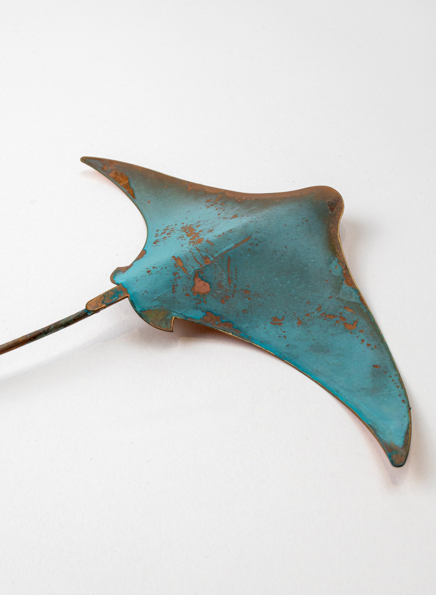 Stingray - Medium