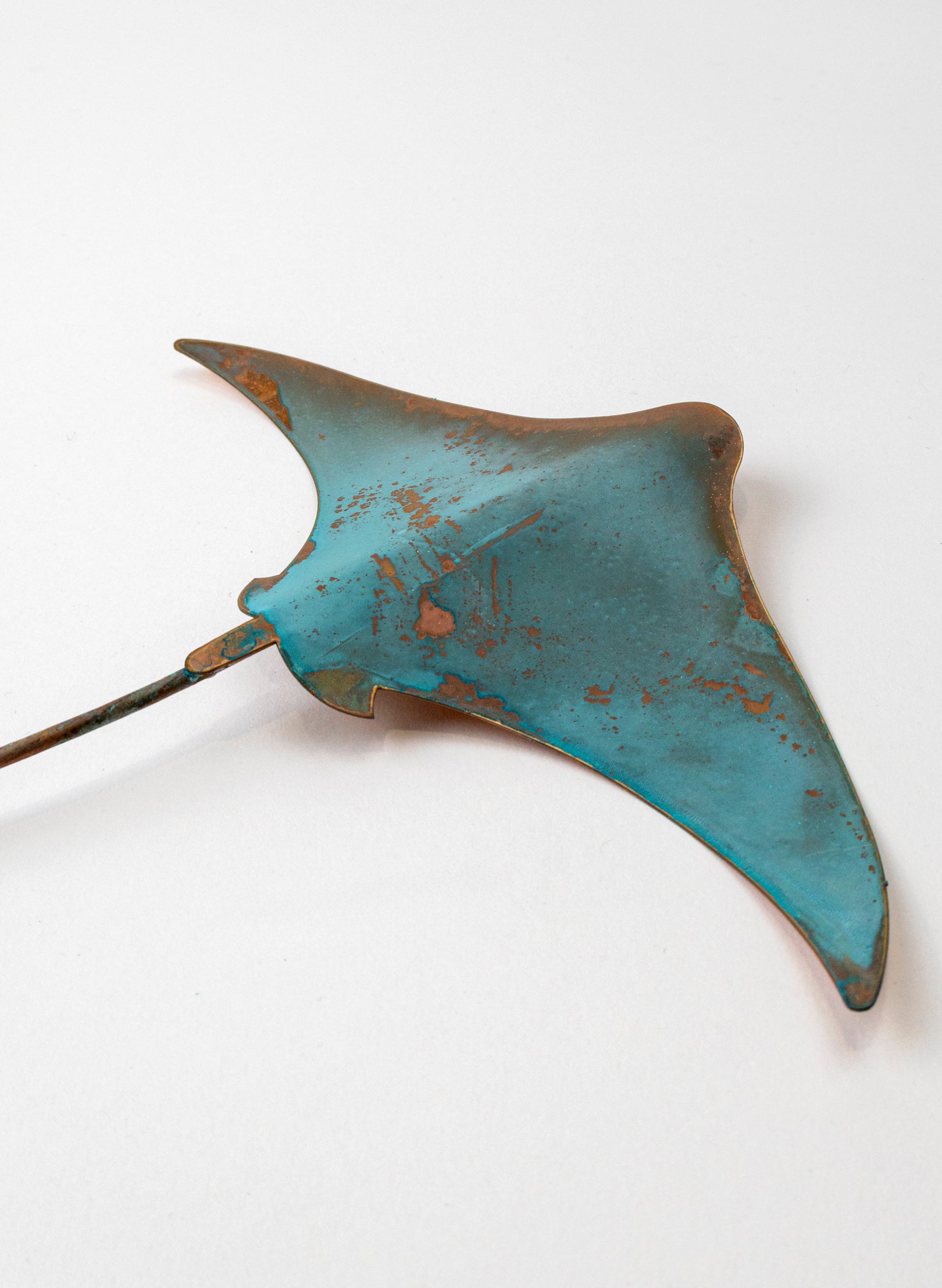 Stingray - Medium