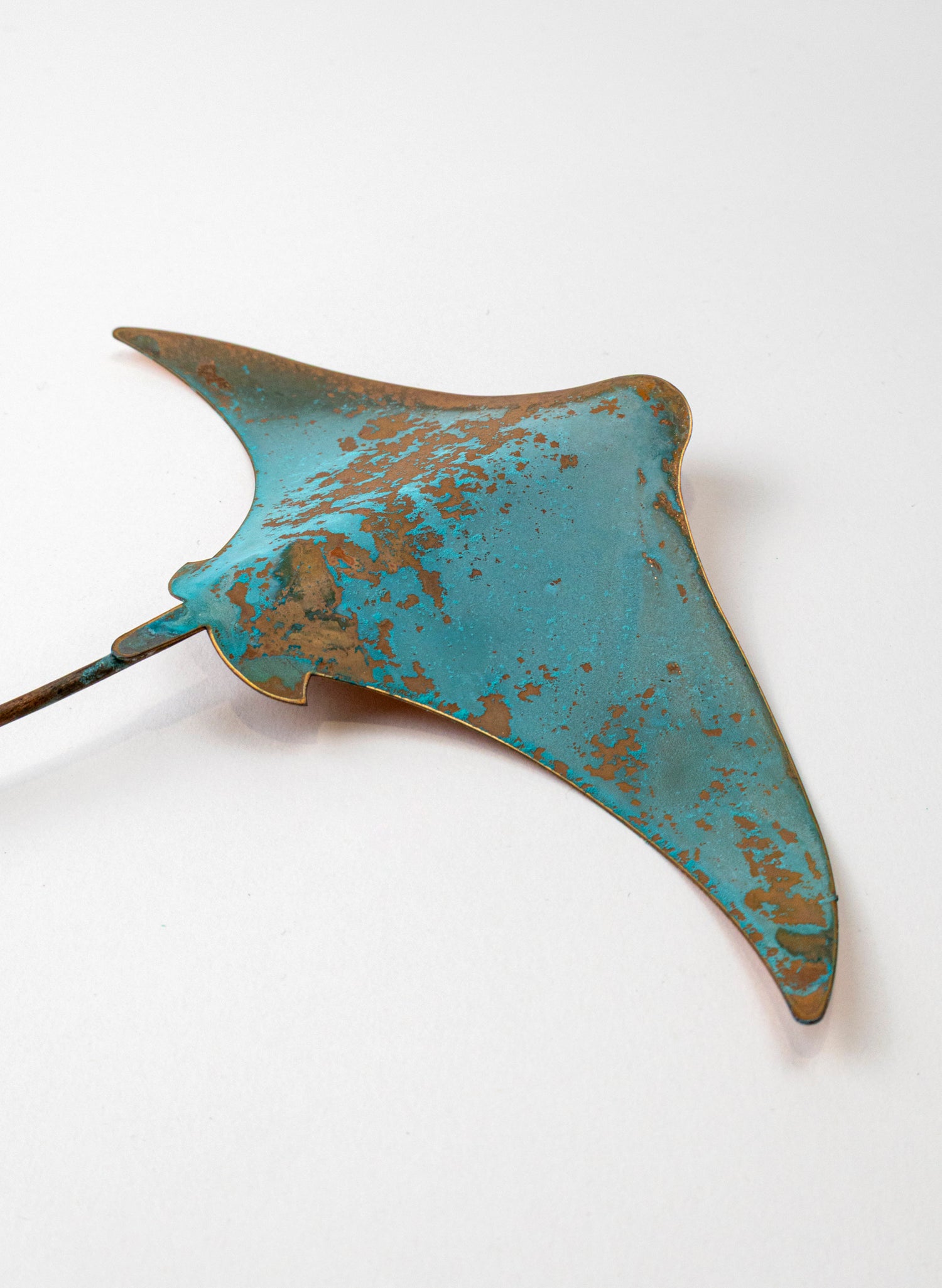 Stingray - Medium