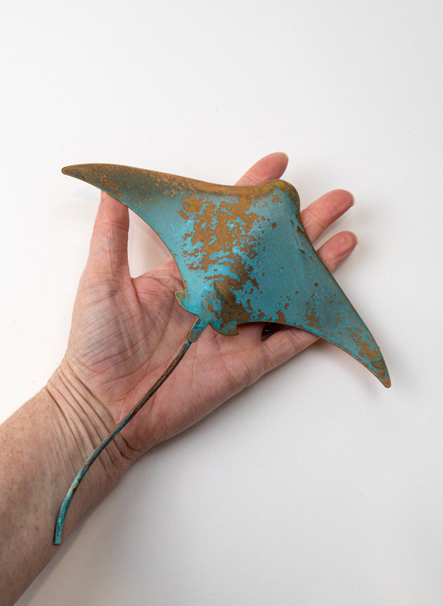 Stingray - Medium