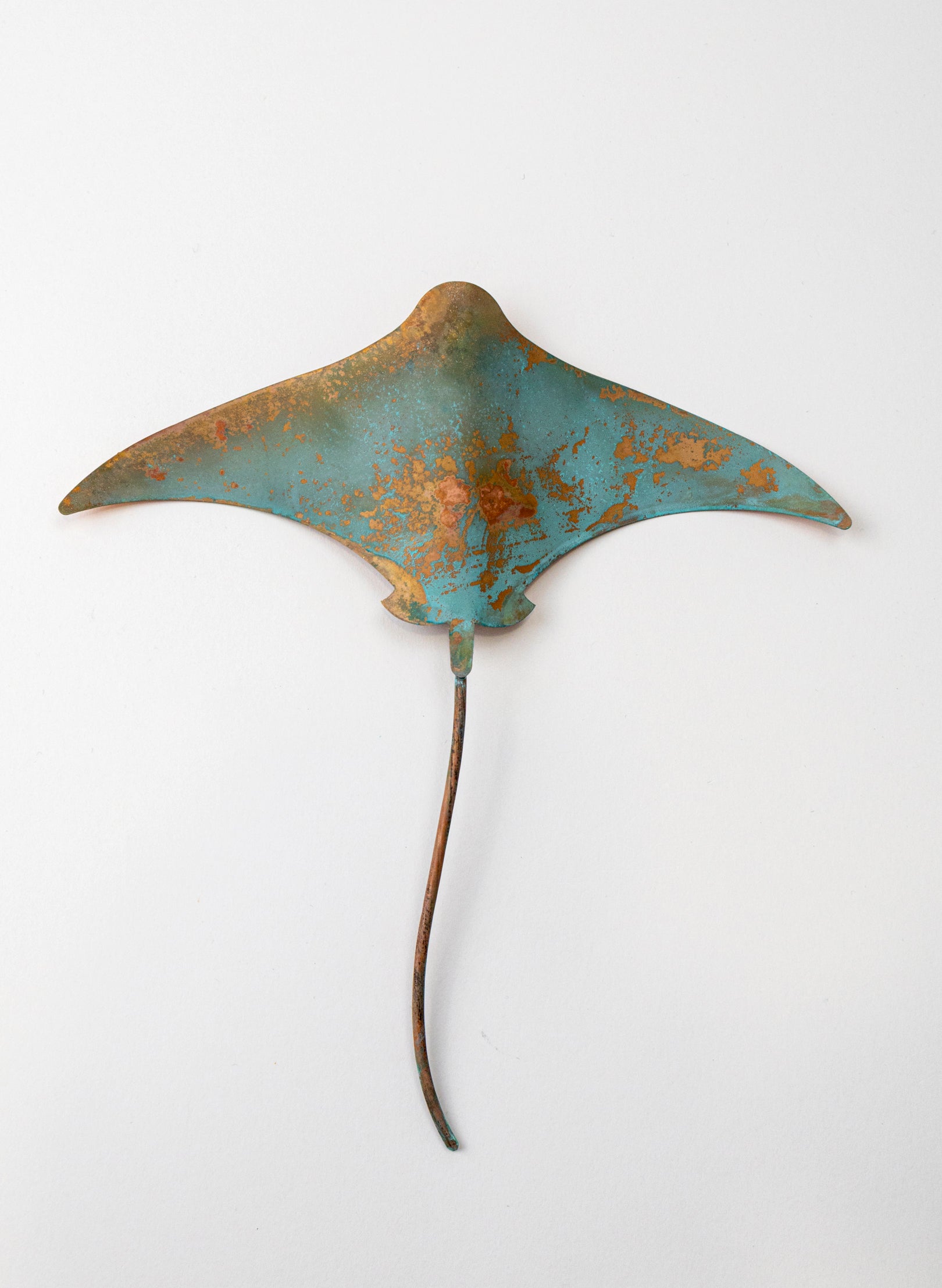Stingray - Medium