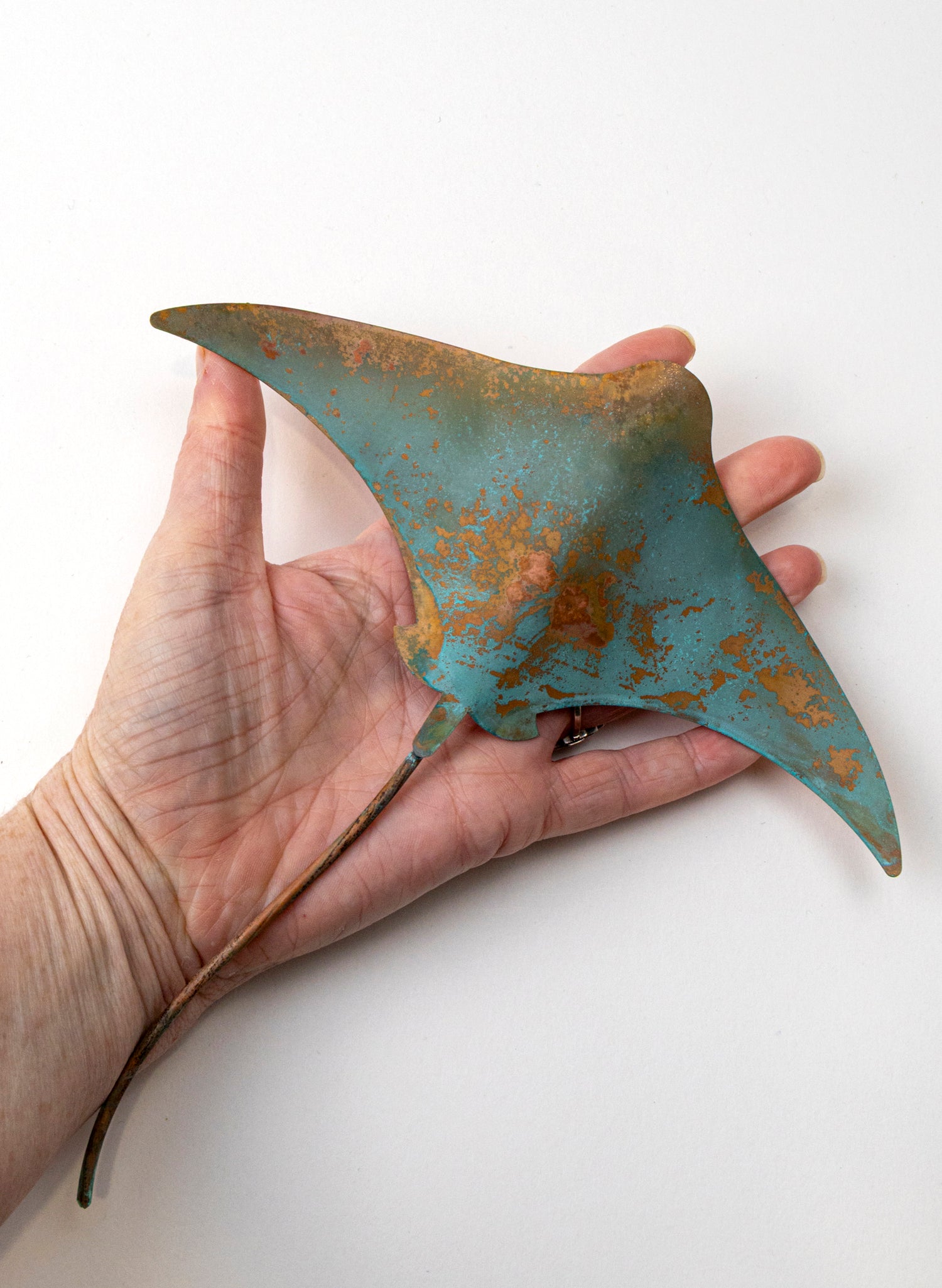 Stingray - Medium