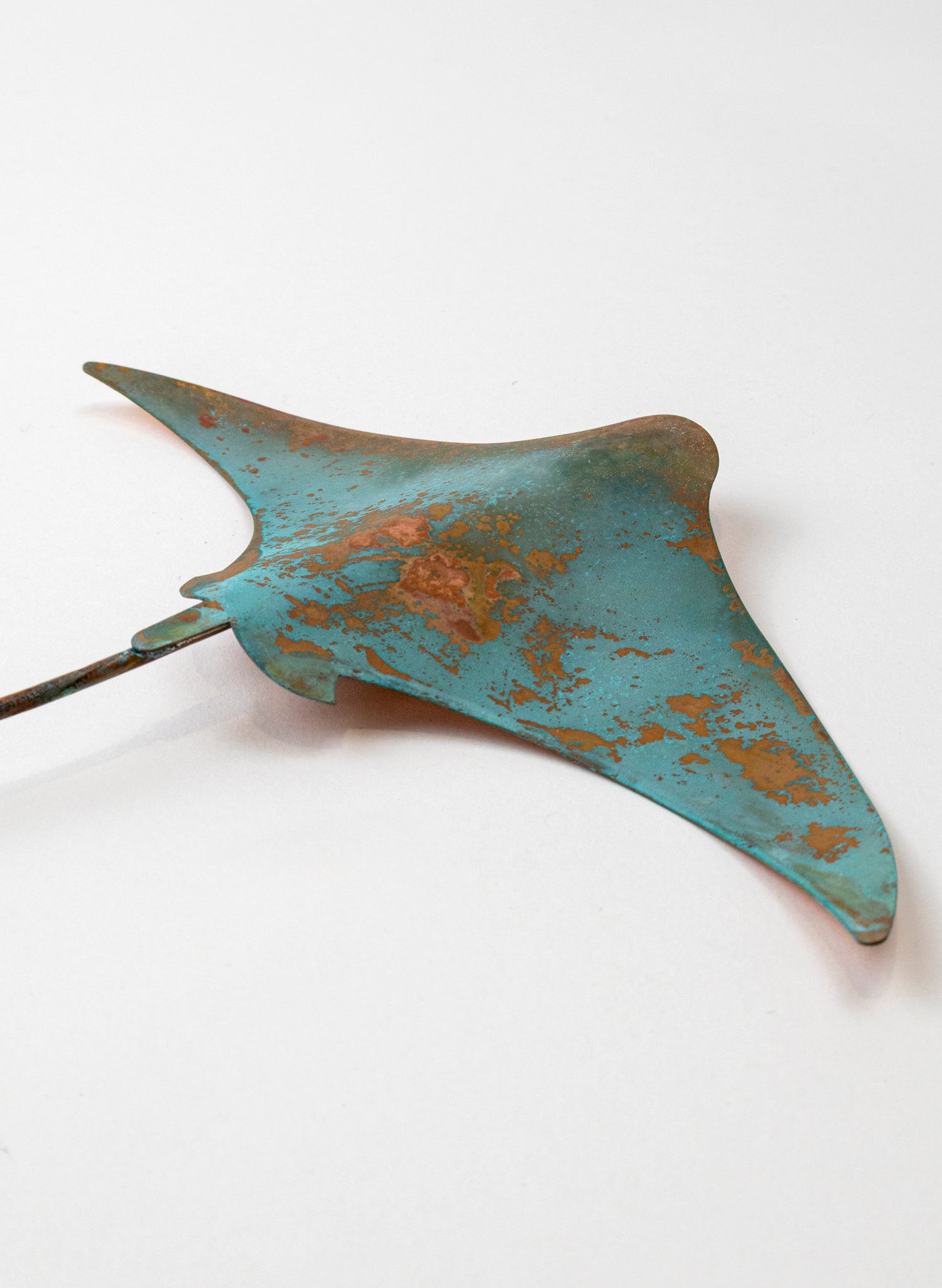 Stingray - Medium