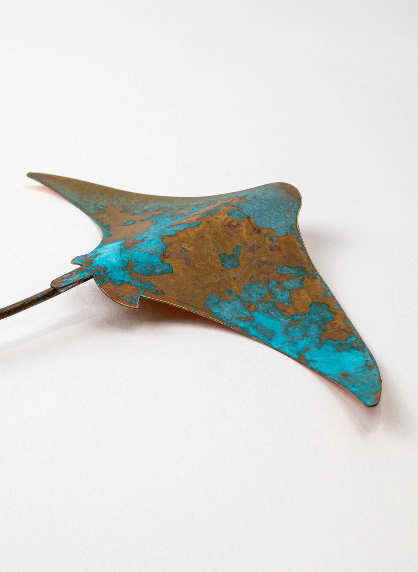 Stingray - Medium