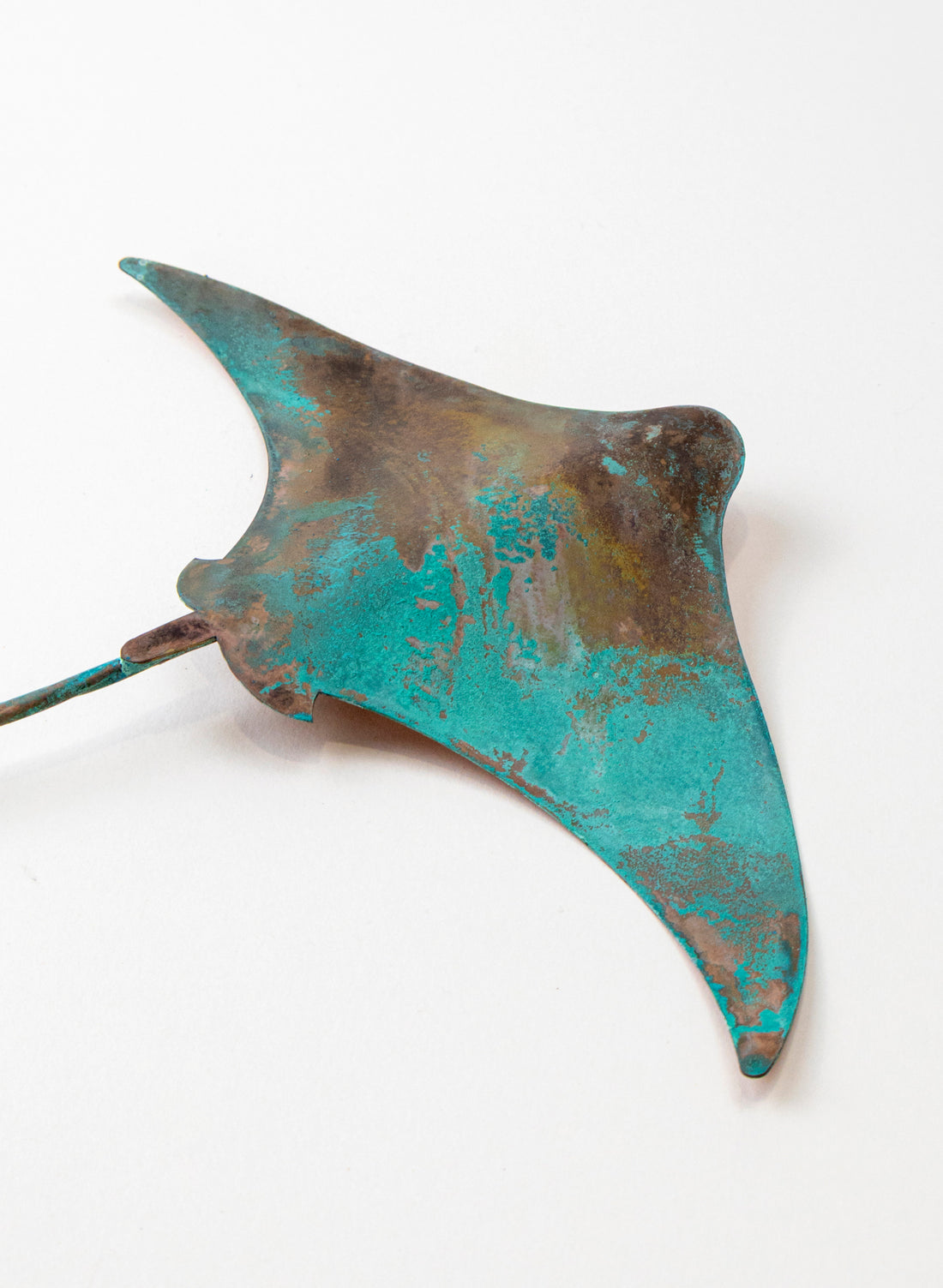 Stingray - Medium