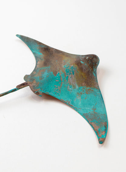 Stingray - Medium
