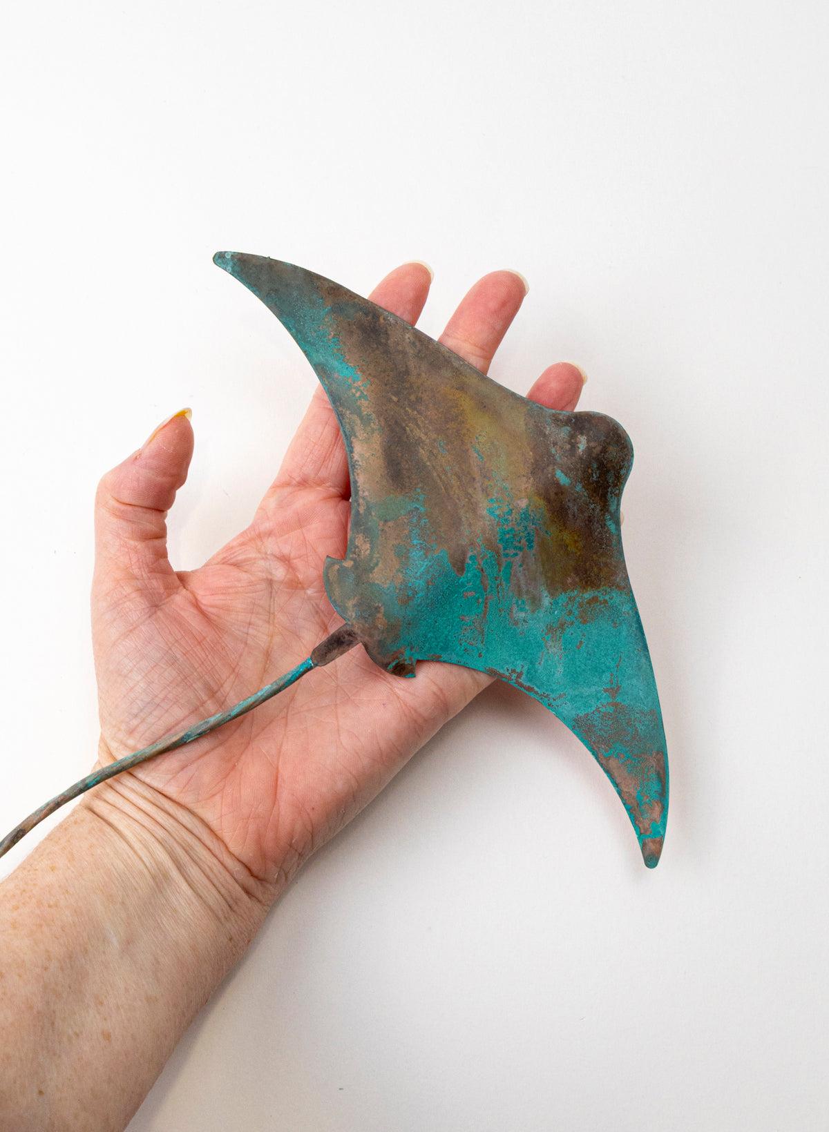 Stingray - Medium