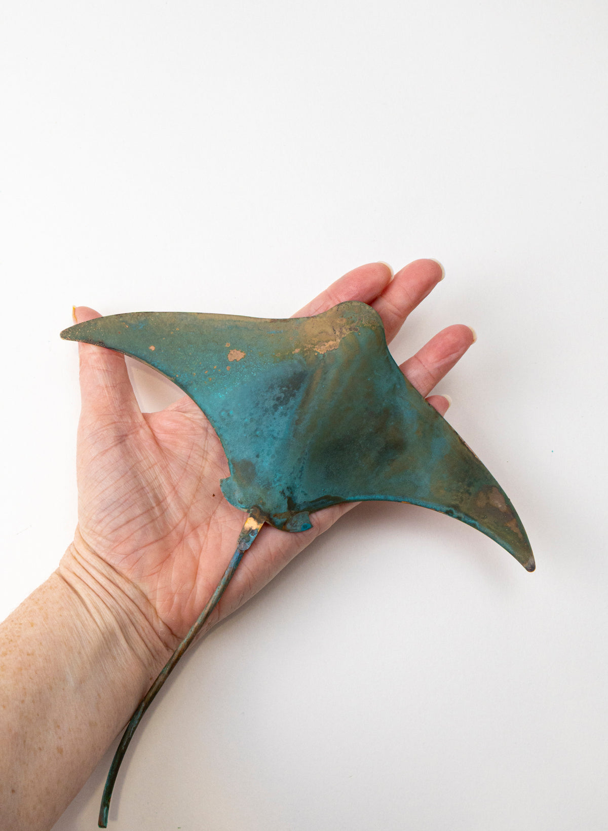 Stingray - Medium