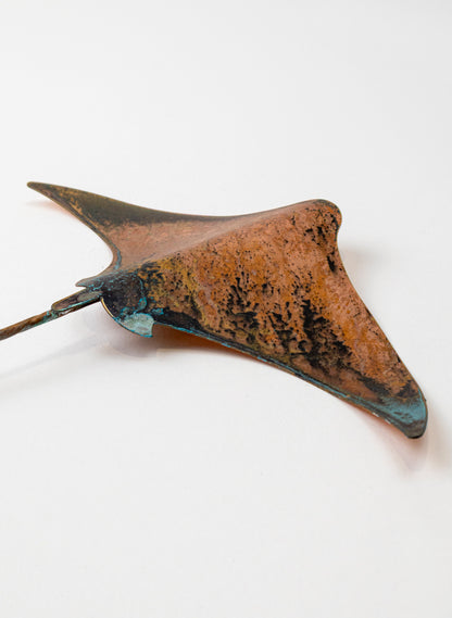 Stingray - Medium