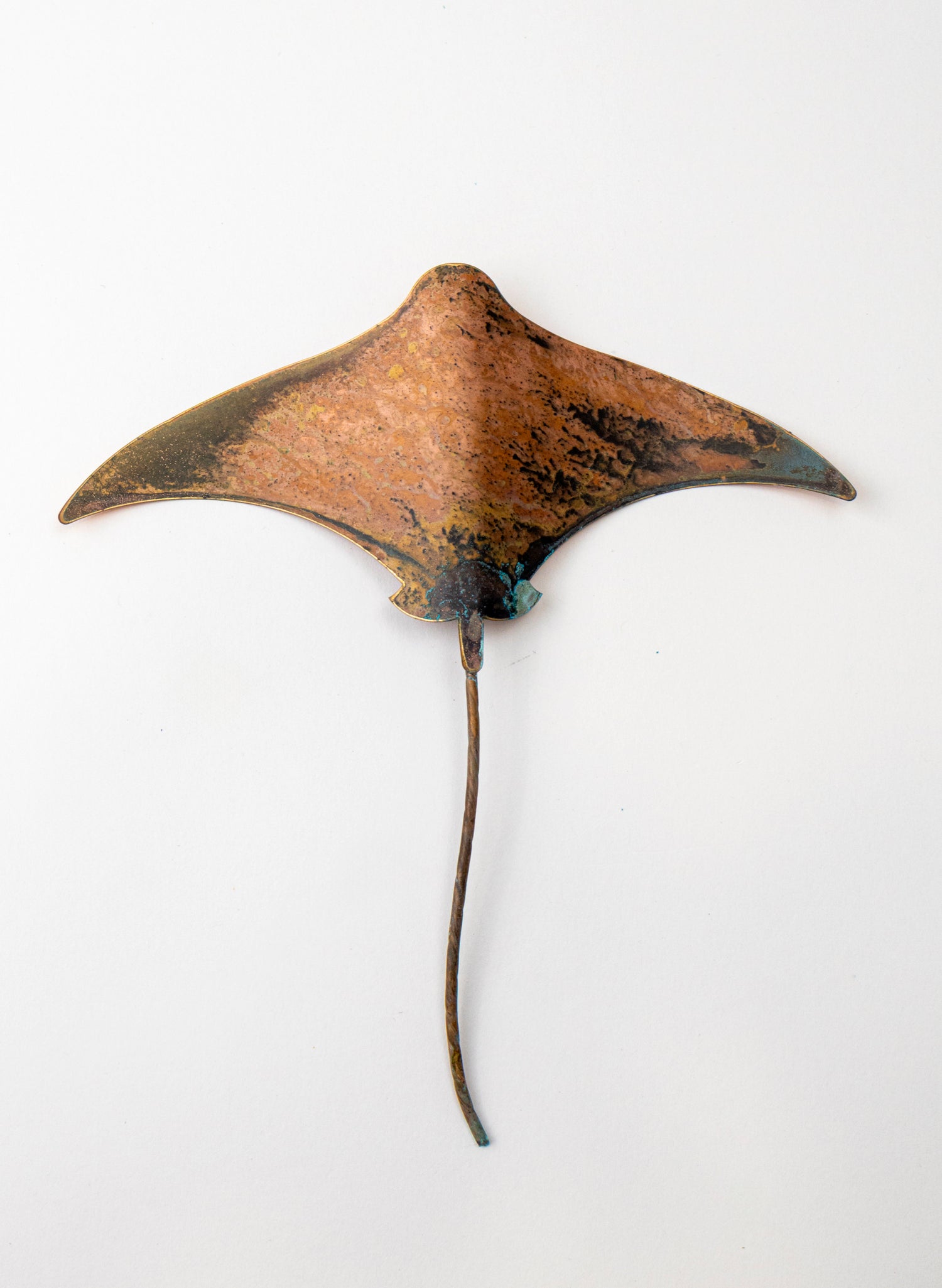 Stingray - Medium