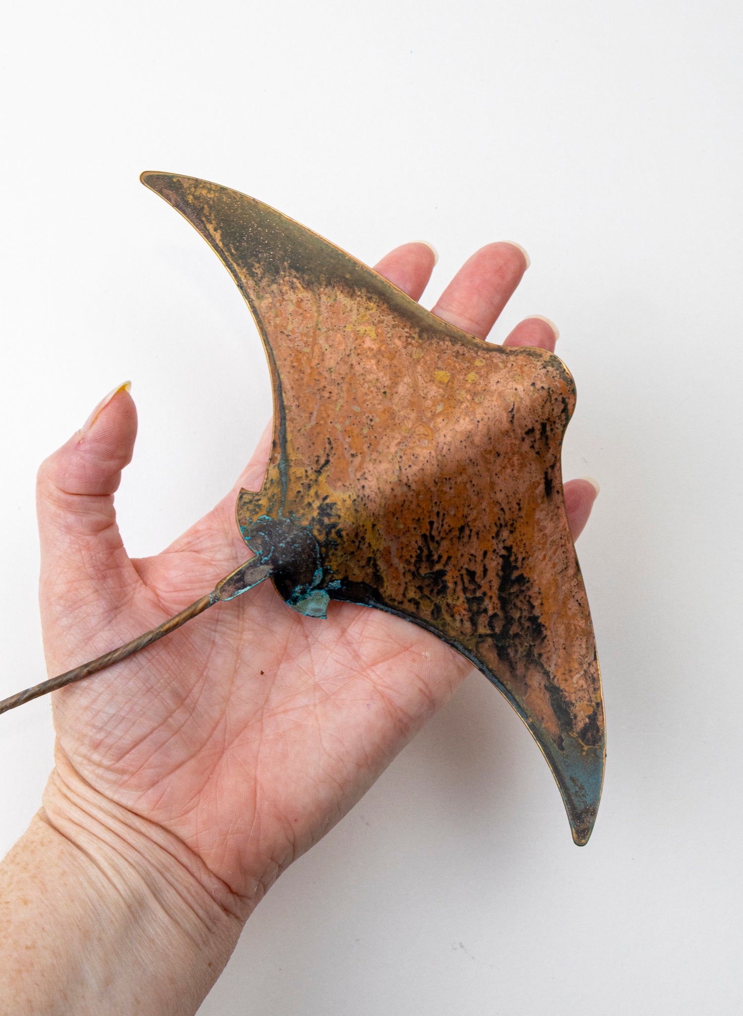 Stingray - Medium