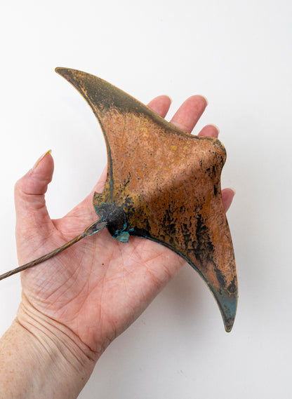 Stingray - Medium