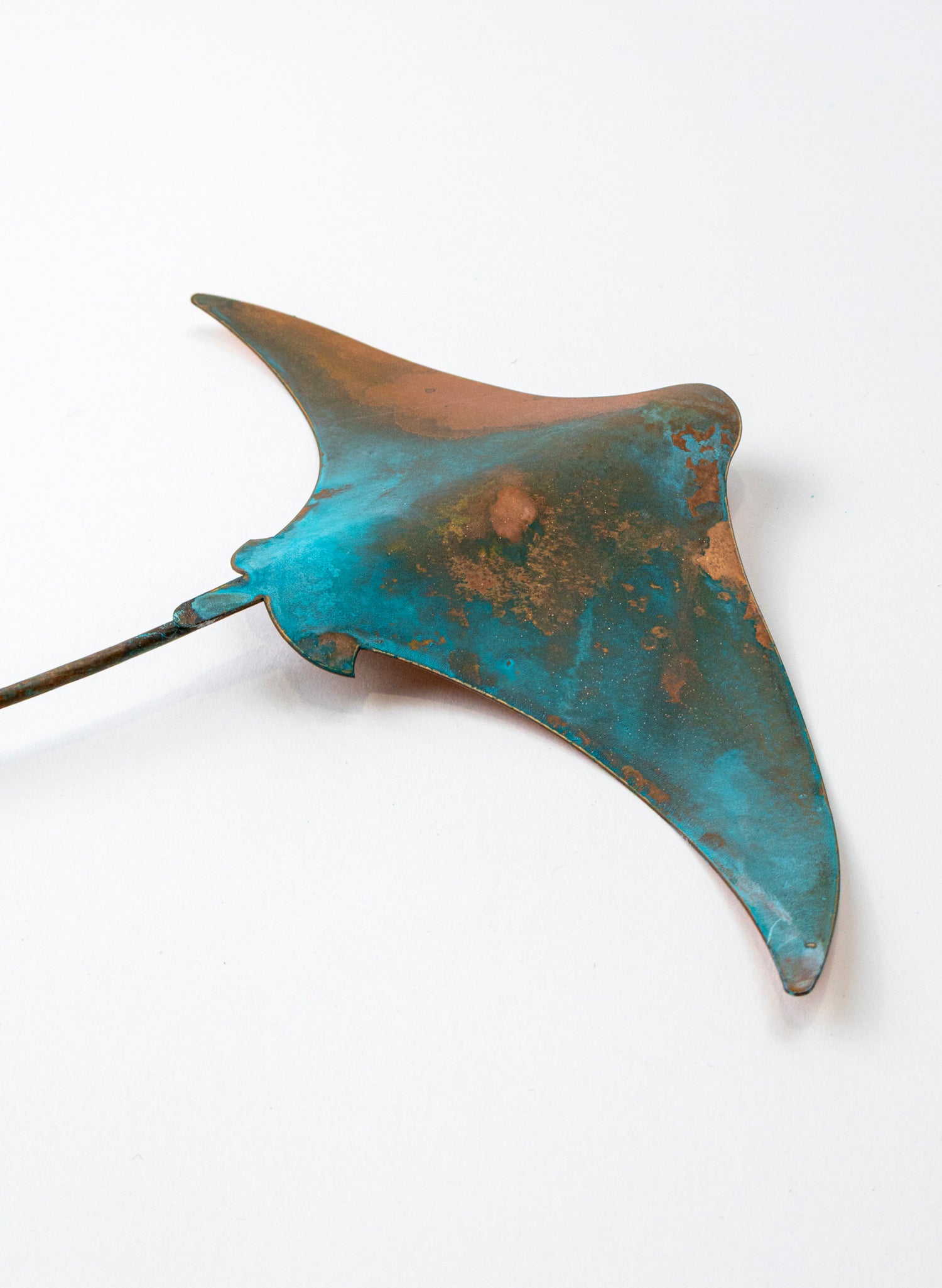Stingray - Medium