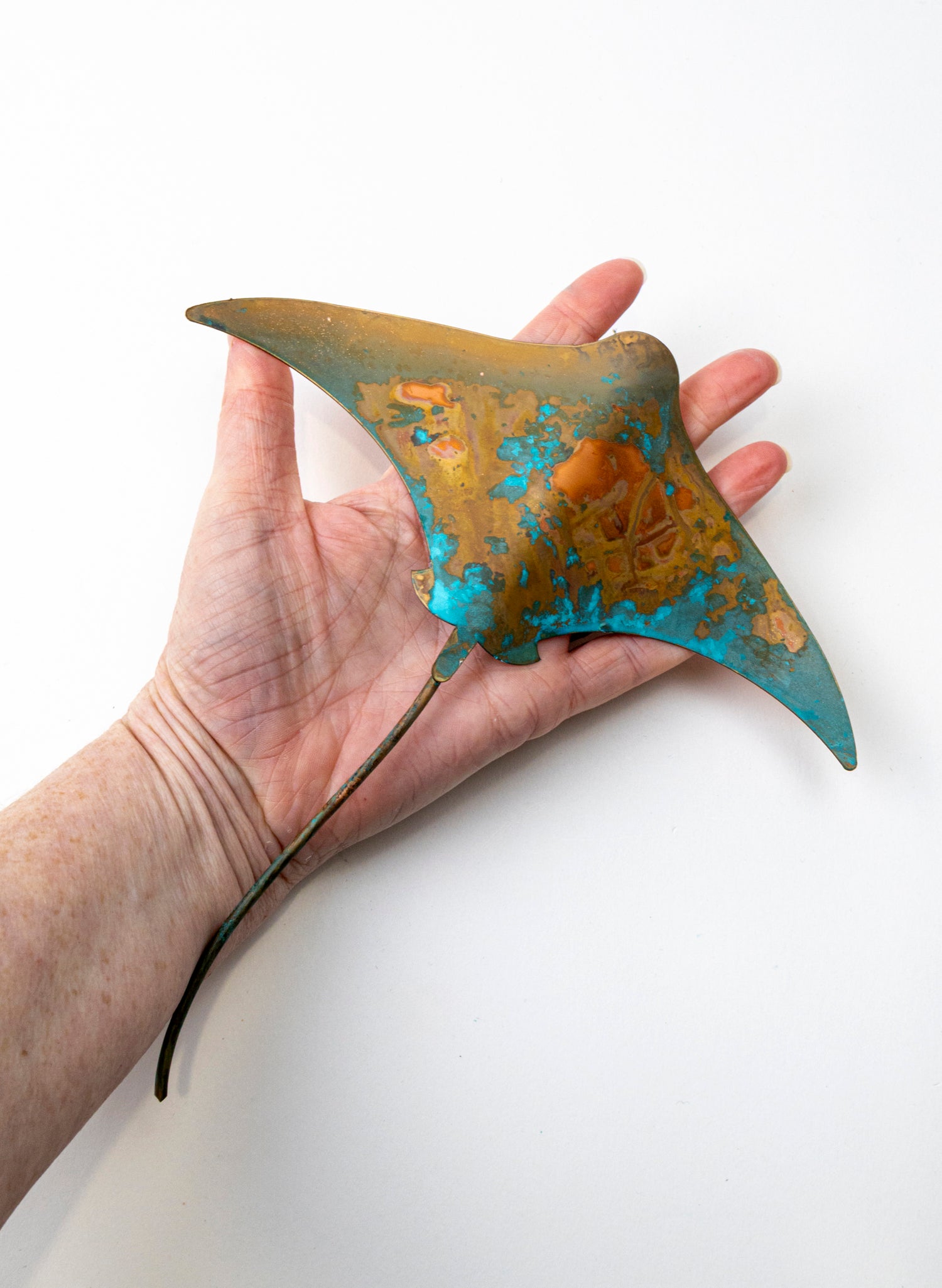 Stingray - Medium