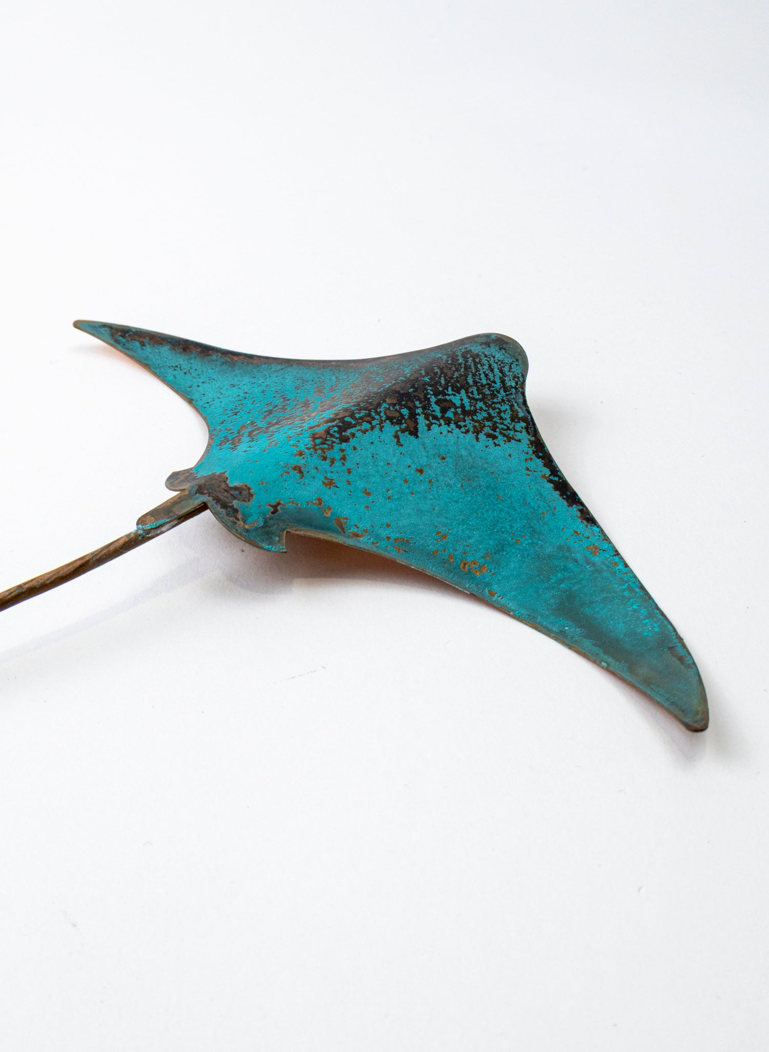 Stingray - Medium