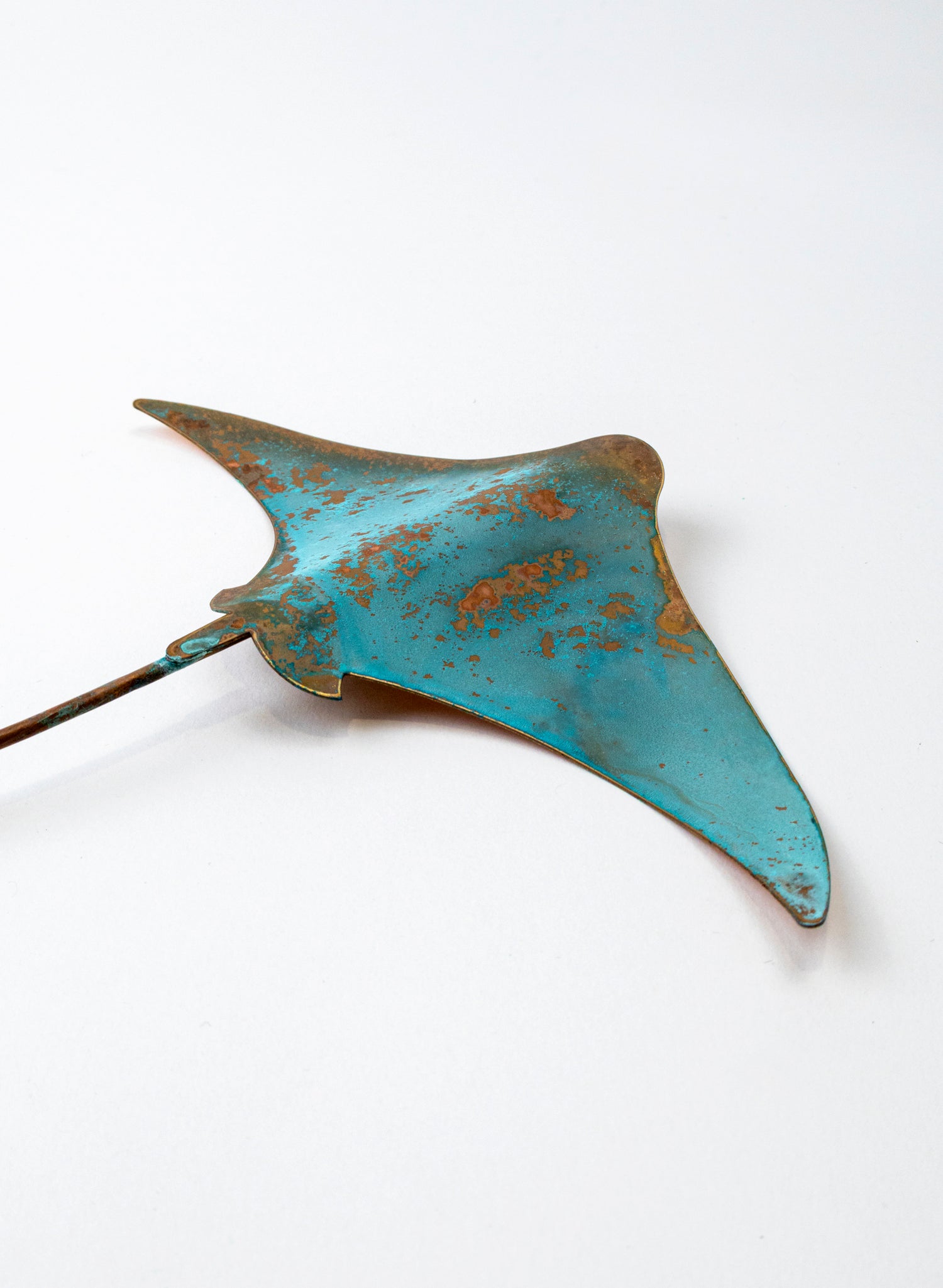 Stingray - Medium