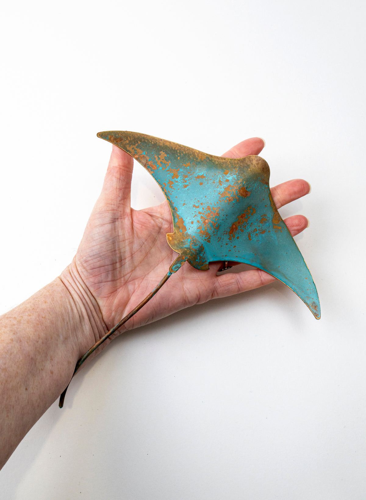 Stingray - Medium