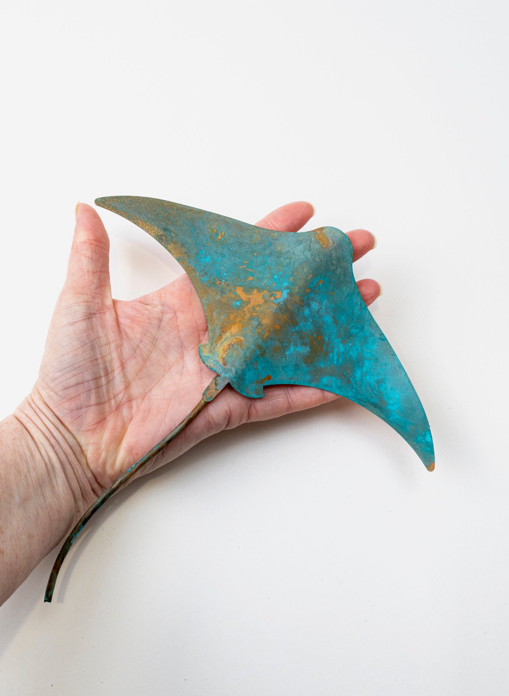 Stingray - Medium