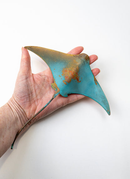 Stingray - Medium