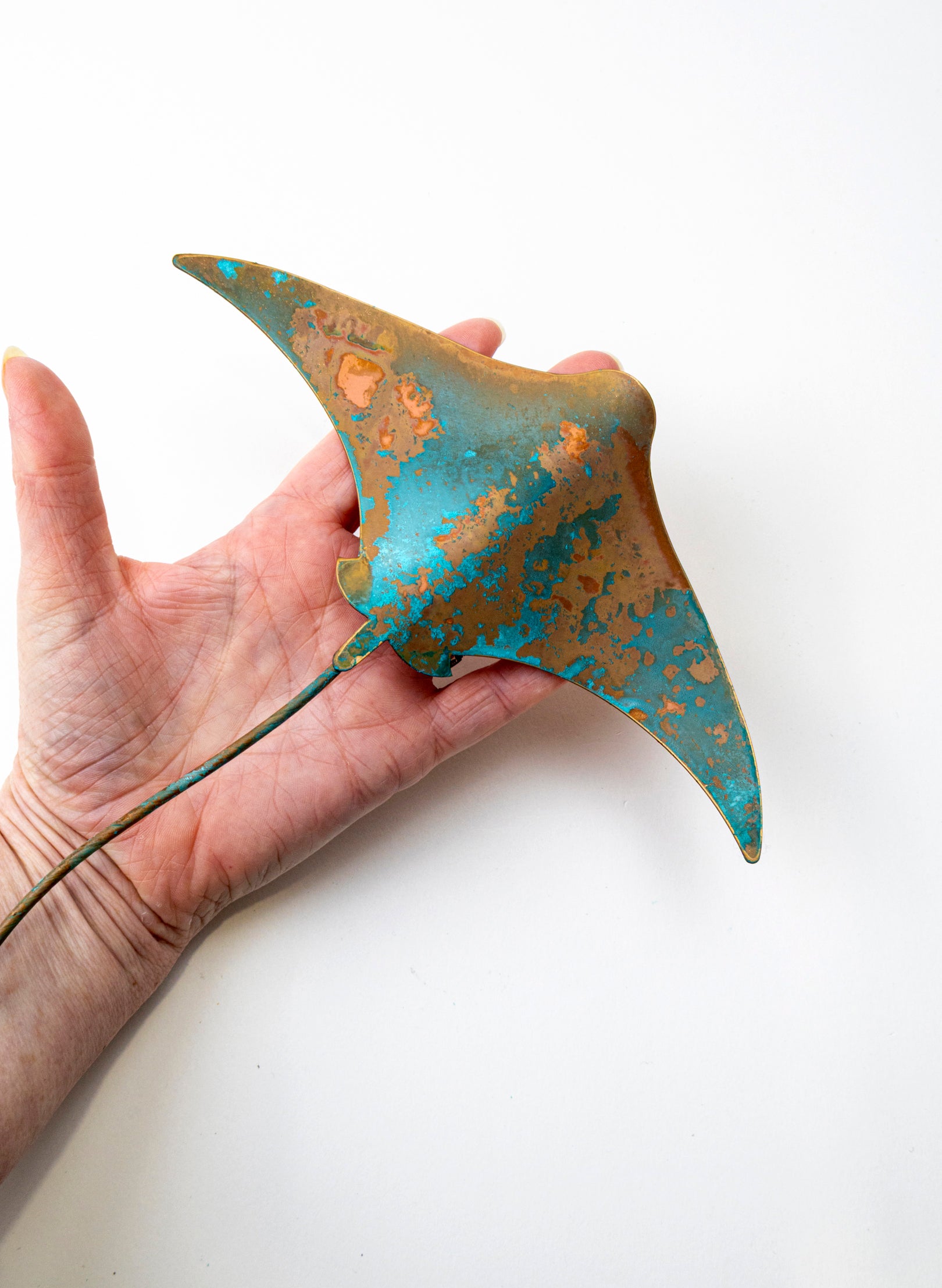 Stingray - Medium