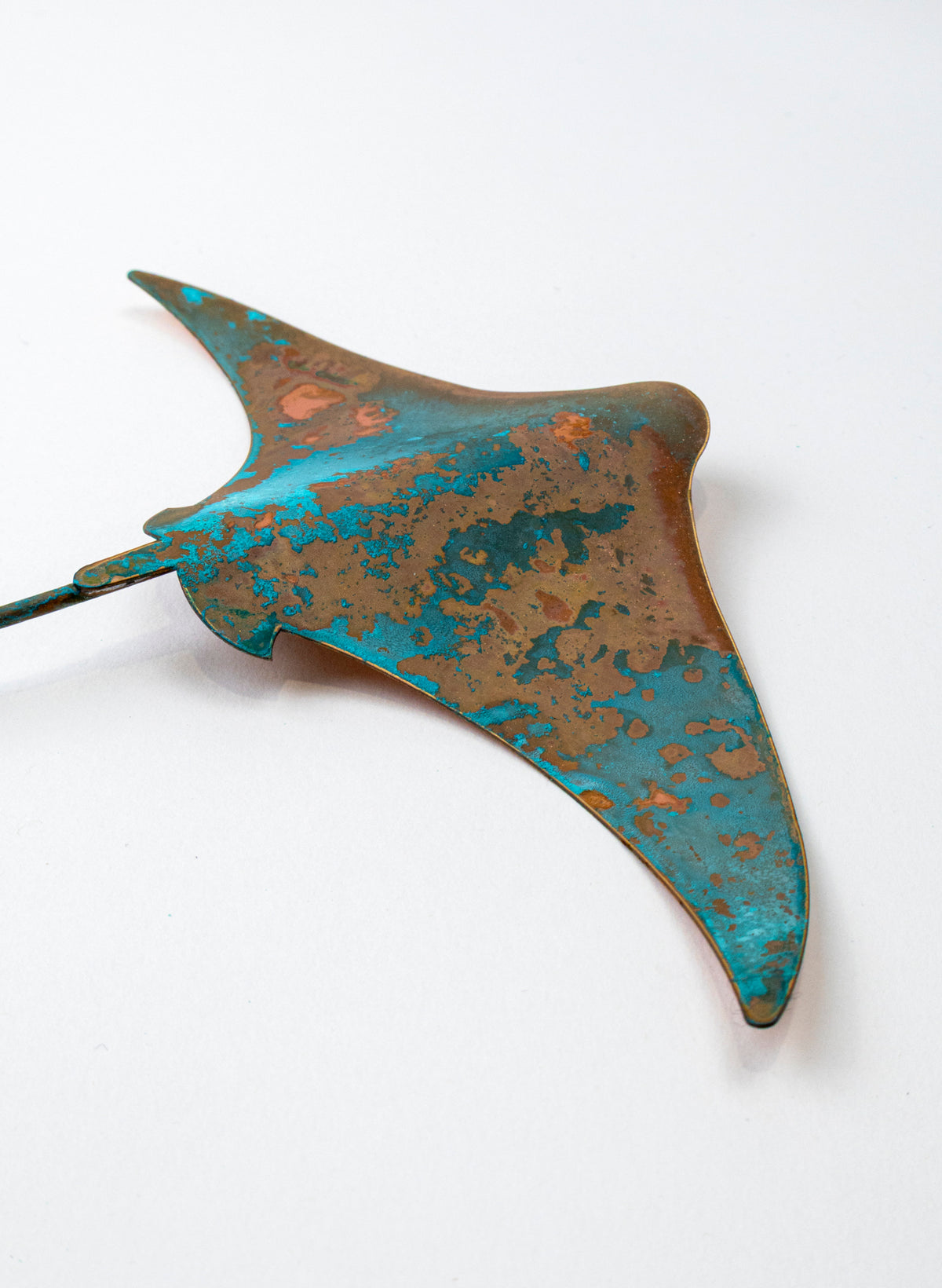 Stingray - Medium
