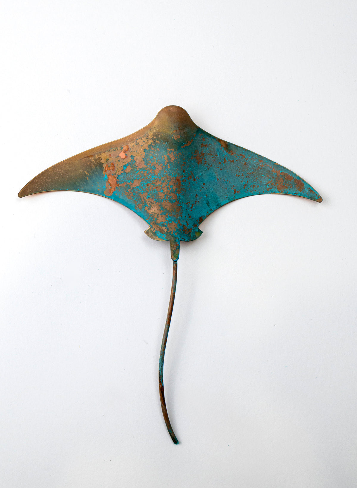 Stingray - Medium