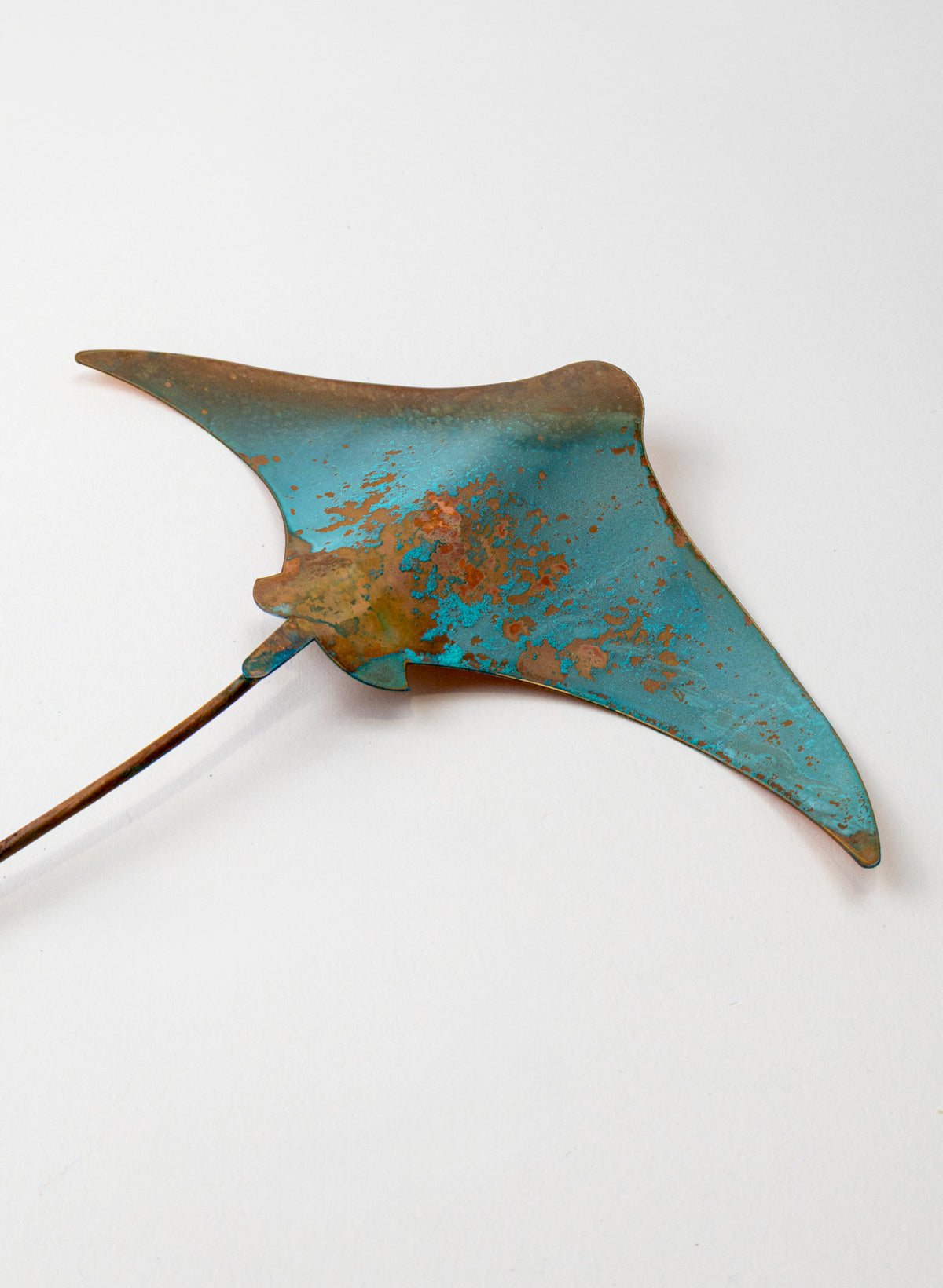 Stingray - Medium
