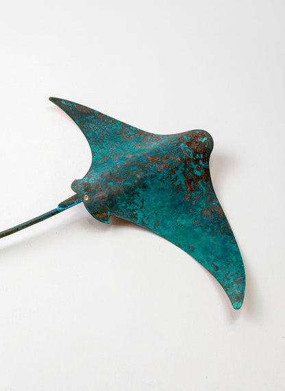 Stingray - Medium
