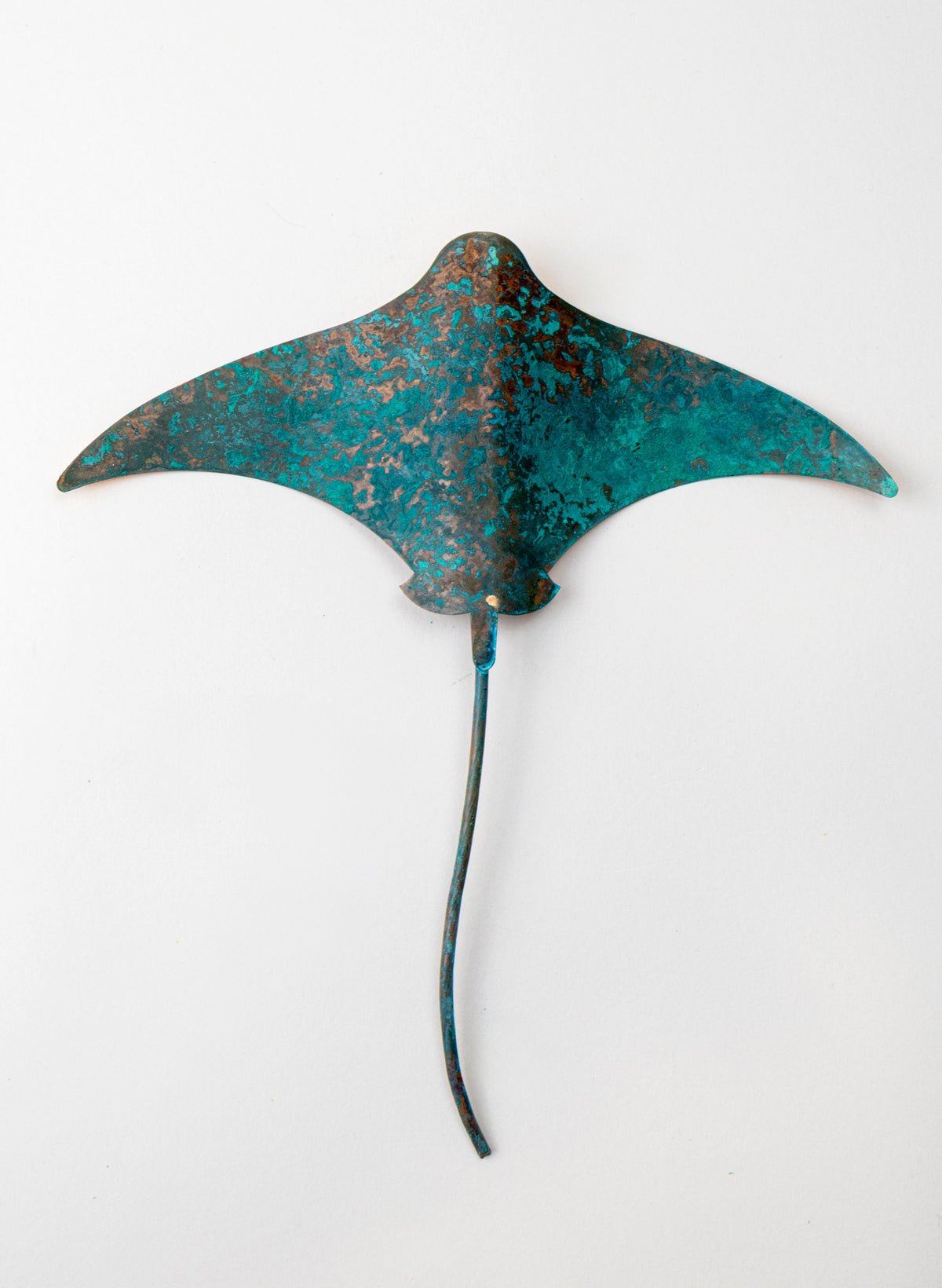 Stingray - Medium
