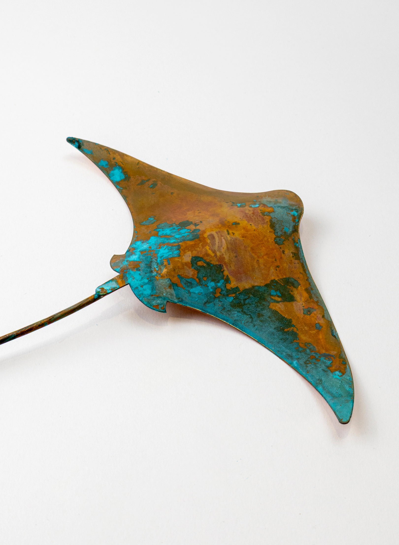 Stingray - Medium