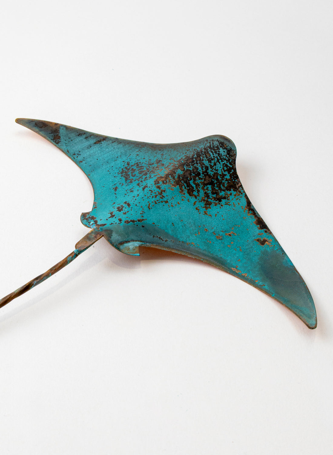 Stingray - Medium