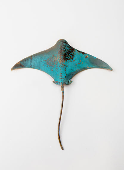 Stingray - Medium