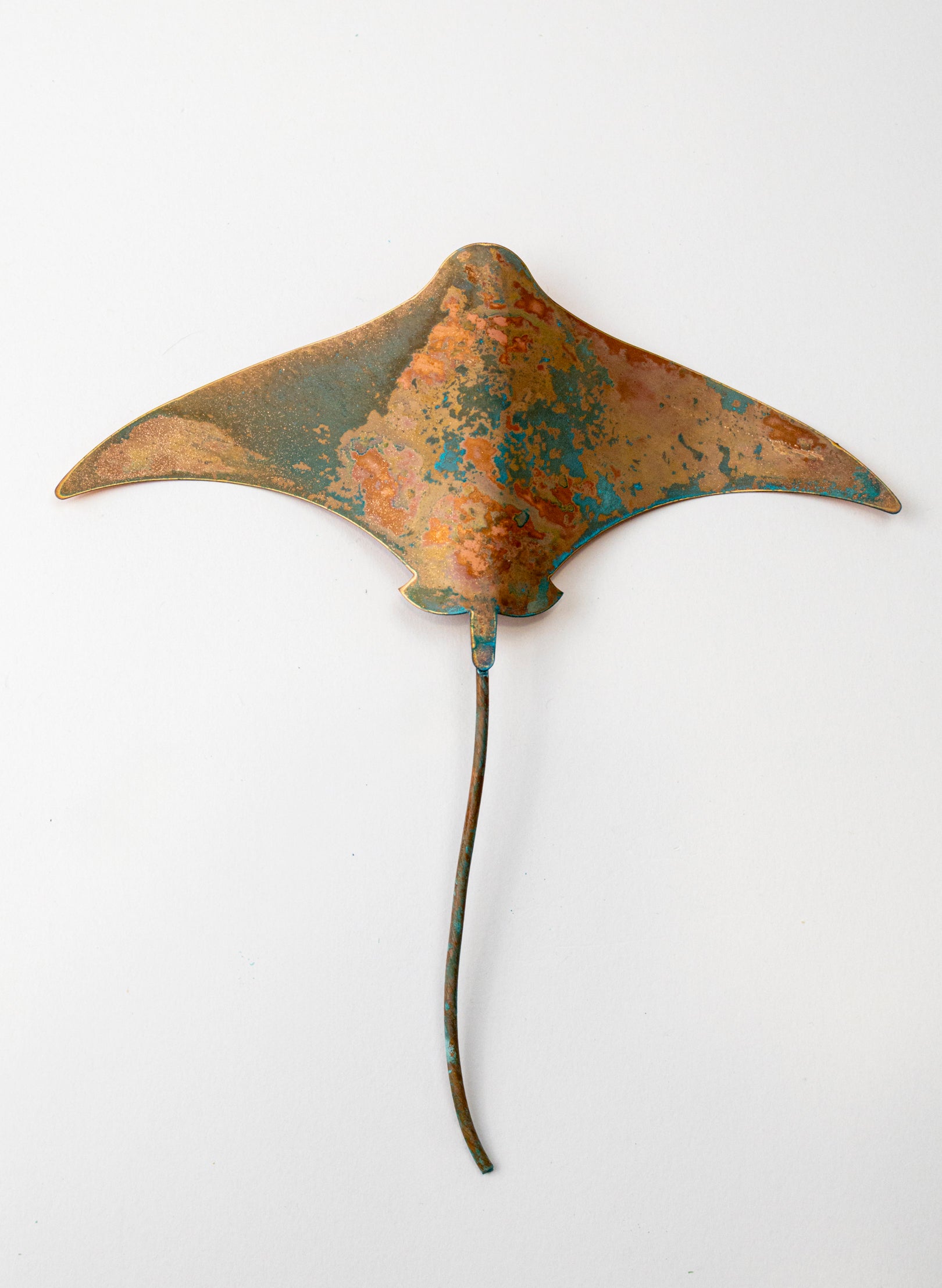 Stingray - Medium