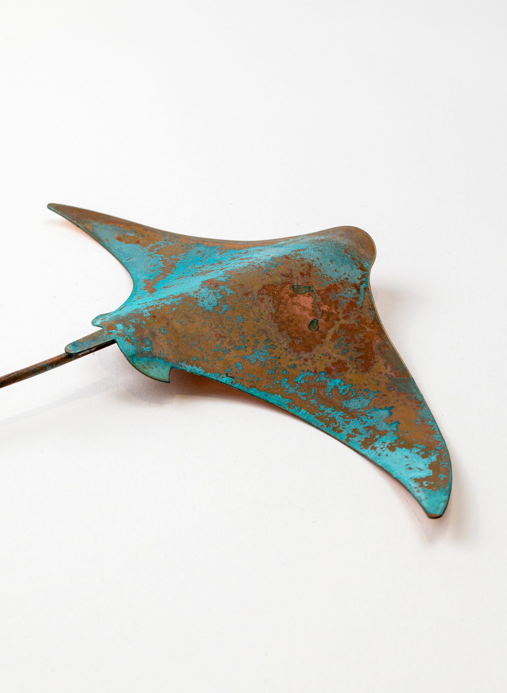 Stingray - Medium