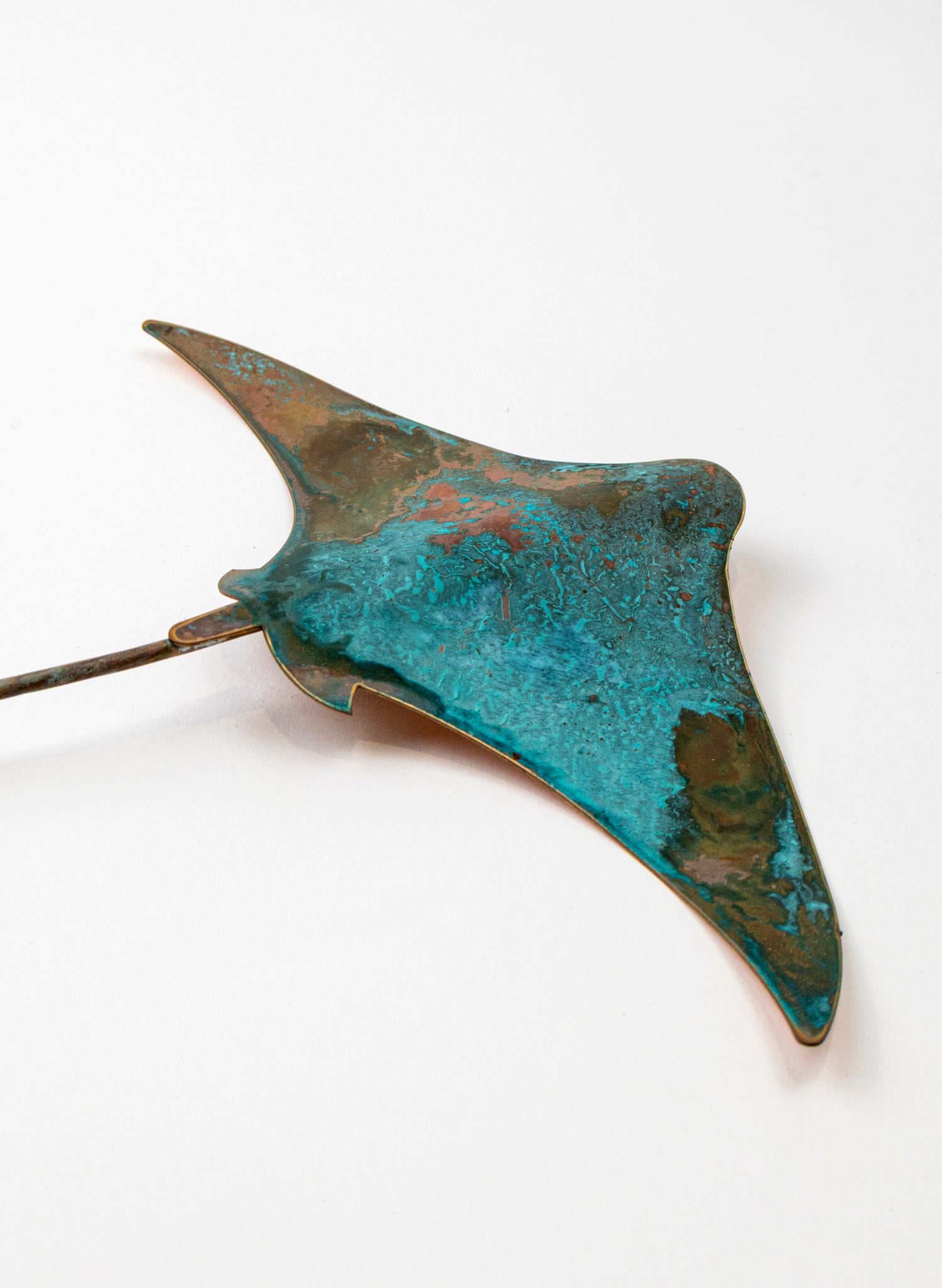 Stingray - Medium