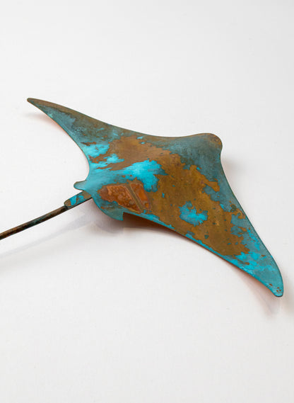 Stingray - Medium