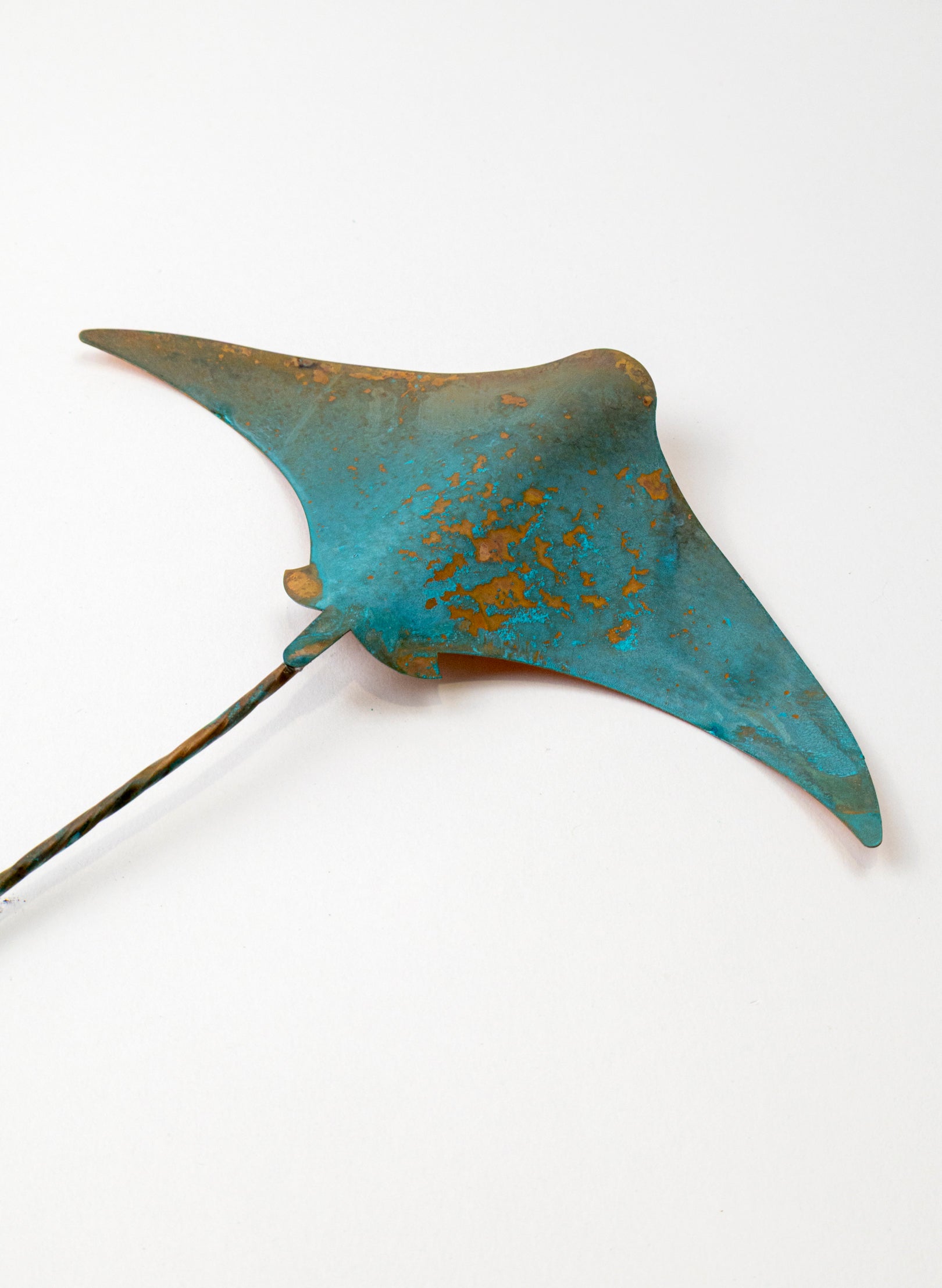 Stingray - Medium
